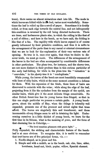 492                  THE TREES OF      OLD ENGLAND.

  trees), there seems an almost miraculous start into life. The mode in
  which leaves are folded while in ~ bud, vanes most wonderfully. Some·
  times the leaf is rolled up like a scroll of paper. Sometimes it is doubly
  rolled, or from' each edge towards the central line, and not infrequently
  this condition is reversed by the roll being directed bMkwards. There
  are trees, and herbaceous plants also, in which the I'OIling is like that of
  a coil of ribbon; and here in the beech, as we have said, the folding is
• like that of a fan. The rapidity with which leaves expand is of course
  greatly influenced by their primitive condition, and thus it is m~re to
  the arrangement of the parts than to any casual or external circumstance
  that we are to look for the ~explanation of their very various rate of
  opening. So true is it, once over again, that when we desire to dis-
  cover truth, we must go -inside. The differences of the arrangement of
   the leaves in the bud are often accompanied by considerable differences'
   in other particul81·s. The plum-tree, for instance, and the cherry-tree,
   are not more distinct in their produce than in this curious particular of
  the early leaf-folding, for while in the ·plum-tree the "vemation" is
   "convolute," in the ..c~erry-tree it is "conduplicate."
      While young, the leaves of the beech are most beautifully omamented
   with lines of silky hairs, which at the same moment ~onstitute a defence
   for them. With the expansion of the blade, these lines of hairs are
   discovered to coincide with the veins; while along the edge of the leaf,
   projecting from it like the eyelashes from the margin of the eyelid, are
   similar hairs, which give it the most delicate flinge conceivable. No
   other British forest-tree has its young leaves thus fringed, so that in
   this one single particular we possess a certain guide. A young beech-
   grove, about the middle of May, when the foliage is tolerably well
   expanded, presents one of the greenest and airiest sights that trees
   afford. The leaves are singularly thin and translucent, and these
   innumerable silvery fringes ~eem to aid in detaining the light. Embo-
   Boming ourselves in a little thick~t of young beech, we learn for the
   first time in its fnlness, what is the meaning of green, and the force of
   that charming line in Coleridge,-
                  " The level sunshine glimmers with green light." •
   Fully :panded, the striking and characteristic feature of the beech-
   leaf is at once obvious. To recognise this, it is useful to remember
   that tre~-leaves are of five principal forms, viz. : -
      1. Needle-shaped, as in pines and firs.
      2. Simple and with a midrib, as in the beech, oak, elm, lime, alder,
             hombeam, haz~l-nut, birch, poplar, willow, Spanish chesDut.
 