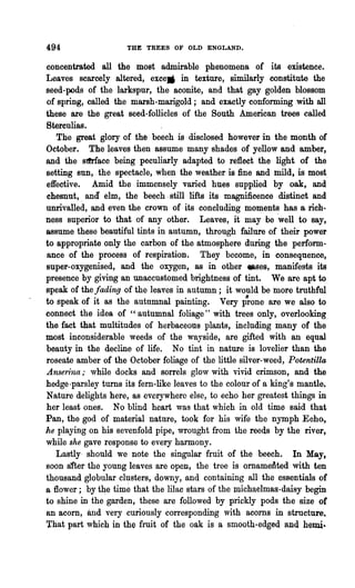 494                  THE TREES OF OLD ENGLAND.

concentrated all the most admirable phenomena of its existence.
Leaves scarcely altered, exceJi in texture, similarly constitute the
seed-pods of the larkspur, the aconite, and that gay golden blossom
of spring, called the marsh-marigold; and exactly conforming with all
these are the great seed-follicles of the South American trees called
Bterculias.
   The great glory of the beech i~ disclosed however in the month of
October. The leaves then assume many shades of yellow and amber,
and the stt.rface being peculiarly adapted to reflect the light of the
setting SUD, the spectacle, when the weather is fine and mild, is most.
effective. Amid the immensely varied hues supplied by oak, and
chesnut,. and elm, the beech .still lifts its magnificence distinct and
unrivalled, and even the crown of its concluding moments has a rich~
ness superior to that of any other. Leaves, it may be 'well to say,
assume these beautiful tints in autumn, through failure of their power
to appropriate only the carbon of the atmosphere during the perform-
ance of the process of respiration. They become, in consequence,
super-oxygenised, and the oxygen, as in other .ses, manifests its
presence by giving an unaccustomed brightness of tint. We are apt to
speak of the~fading of the leaves in autumn; it would be more truthful
to speak of it as the autumnal painting. Very p~one are we also to
connect the idea of "autumnal foliage" with trees only, overlooking
the fact that multitudes of herbaceous plants, including many of the
most inconsiderable weeds of the wayside, are gifted with an equal
beauty in the decline of life. No tint in nature is lovelier 'than the
roseate amber of the October foliage of the little silver-weed, Potentilla
Anserina,. while docks and sorrels glow with vivid crimson, and the
hedge -parsley turns its fern-like leaves to the coloUr' of a king's mantle.
Nature delights here, as everywhere else, to echo her greatest things in
her least ones. No blind heart was that which in old time said that
Pan, the god of material nature, took for his wife the nymph Echo-,
he playing on his sevenfold pipe, wrought from the reeds by the river,
while she gave response to every harmony.
   Lastly- should we note the si~gular fruit of the beech. In May,
soon atter the young leaves are open, the tree is ornamented with ten
thousand globular clusters, downy, and containing all the essentials of
a flower; by t4e time that the lilac stars of the michaelmas-daisy begin
to shine in the garden, these are followed by prickly pods the size of
an acorn, and very curiously corresponding with acorns in structure.
That part which in the fruit of the oak is a smooth-edged and hemi-
 