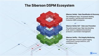 Siberson DSPM for Data Security Controls | PDF