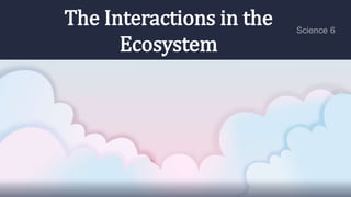 The Interactions in the
Ecosystem
 