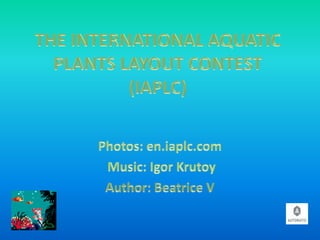 The international aquatic plants layout contest