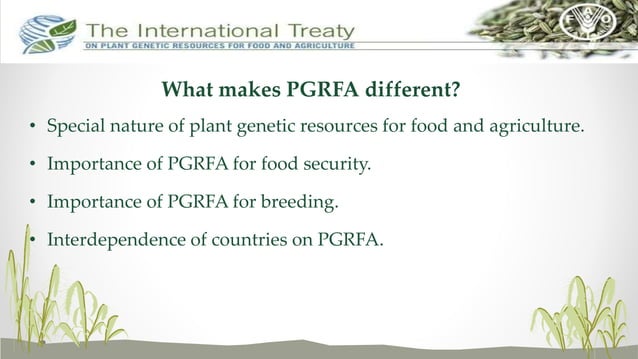 The International Treaty on Plant Genetic Resources for Food and ...