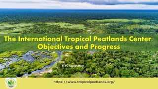 https://www.tropicalpeatlands.org/
The International Tropical Peatlands Center:
Objectives and Progress
ITPC Secretariat
 