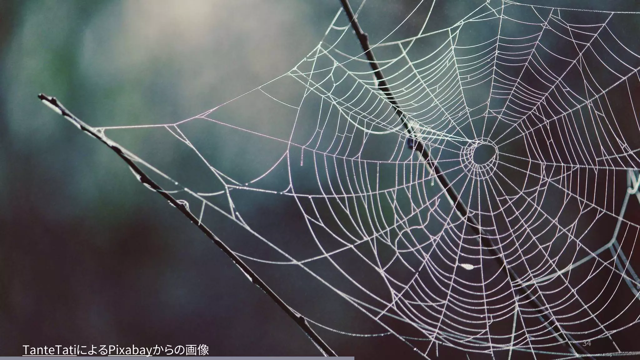 34
34
TanteTatiによるPixabayからの画像
 