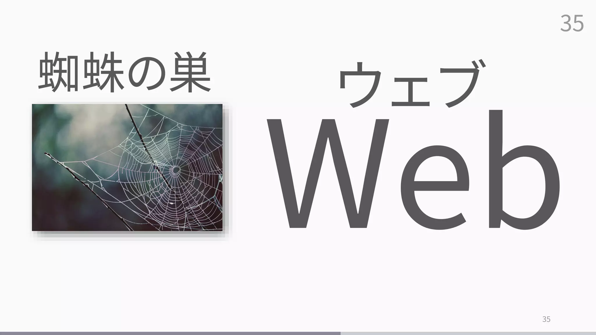 35
35
蜘蛛の巣 ウェブ
 