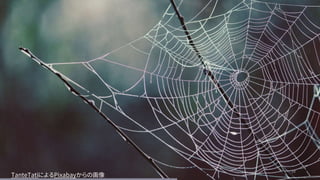 34
34
TanteTatiによるPixabayからの画像
 