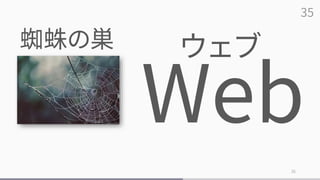 35
35
蜘蛛の巣 ウェブ
 