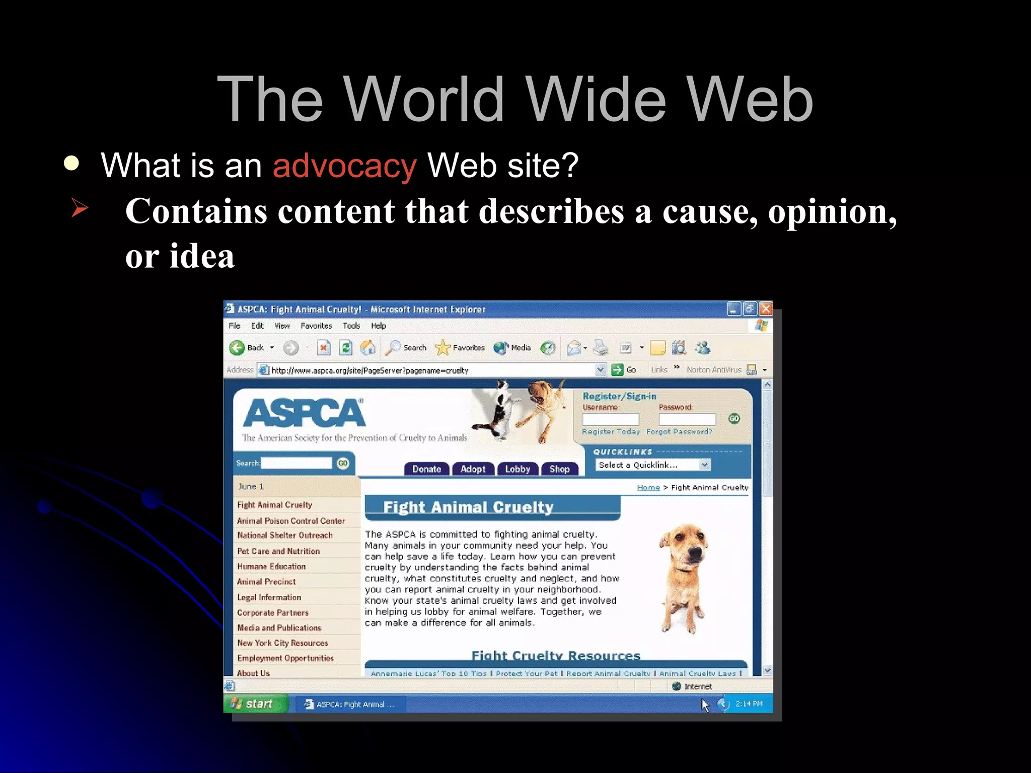 The World Wide Web
   What is an advocacy Web site?
    Contains content that describes a cause, opinion,
     or idea
 