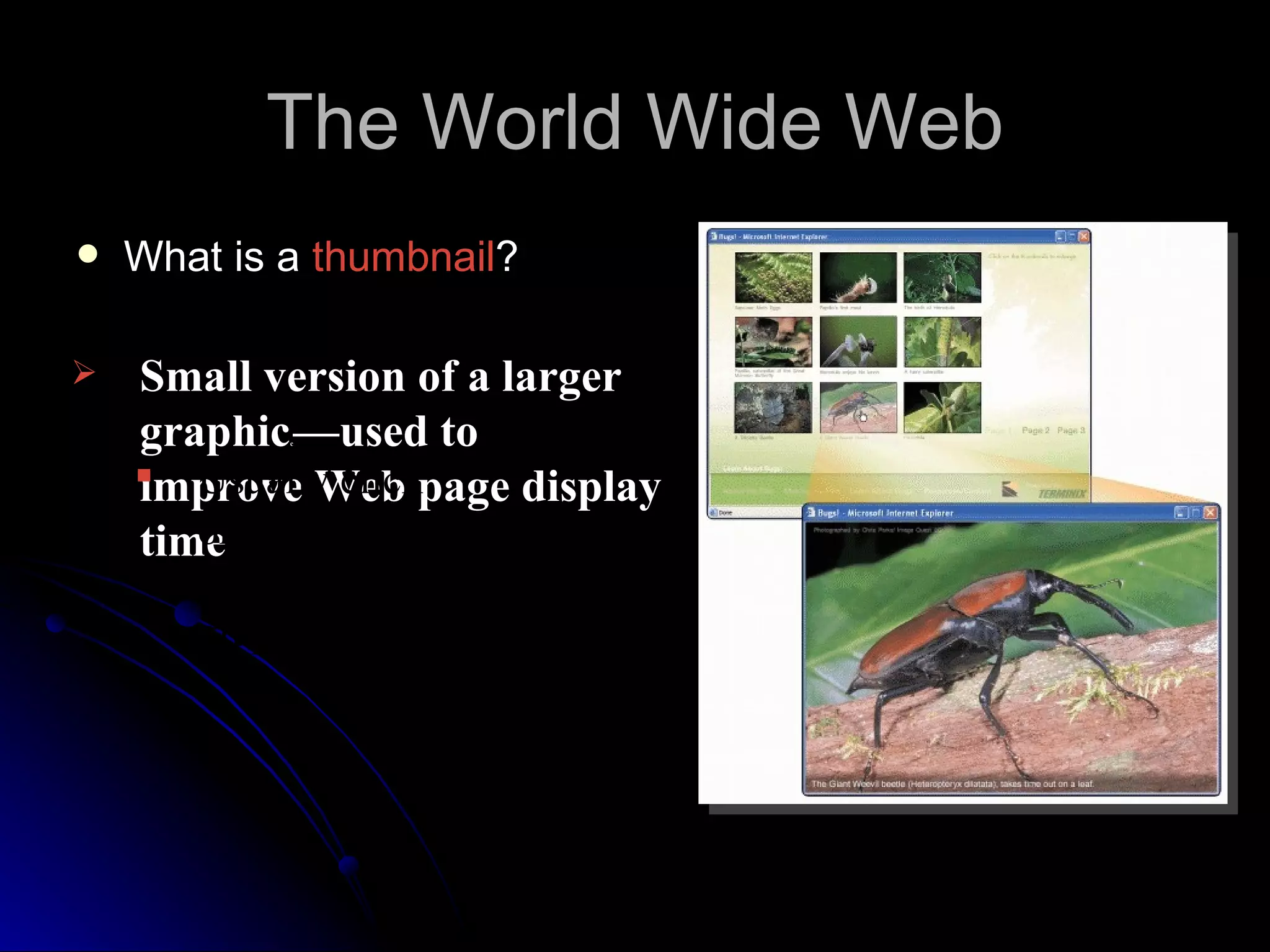 The World Wide Web
   What is a thumbnail?

   Small version of a larger
    graphic —used to
            c




     Usually clickpage display
    improve Web
    time thumbnail to
       on
       display larger
       graphic
 