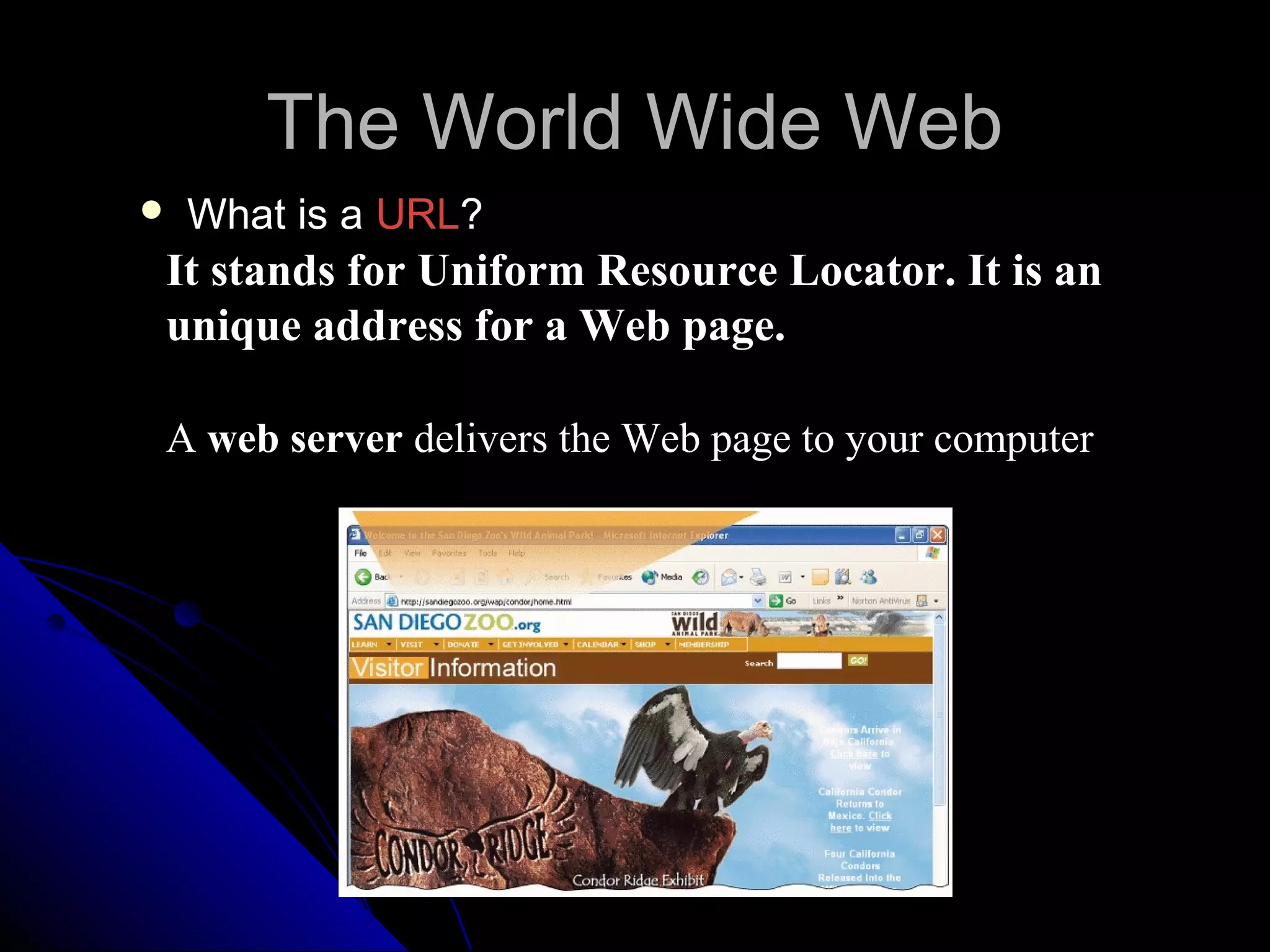 The World Wide Web
   What is a URL?
It stands for Uniform Resource Locator. It is an
unique address for a Web page.

A web server delivers the Web page to your computer
 
