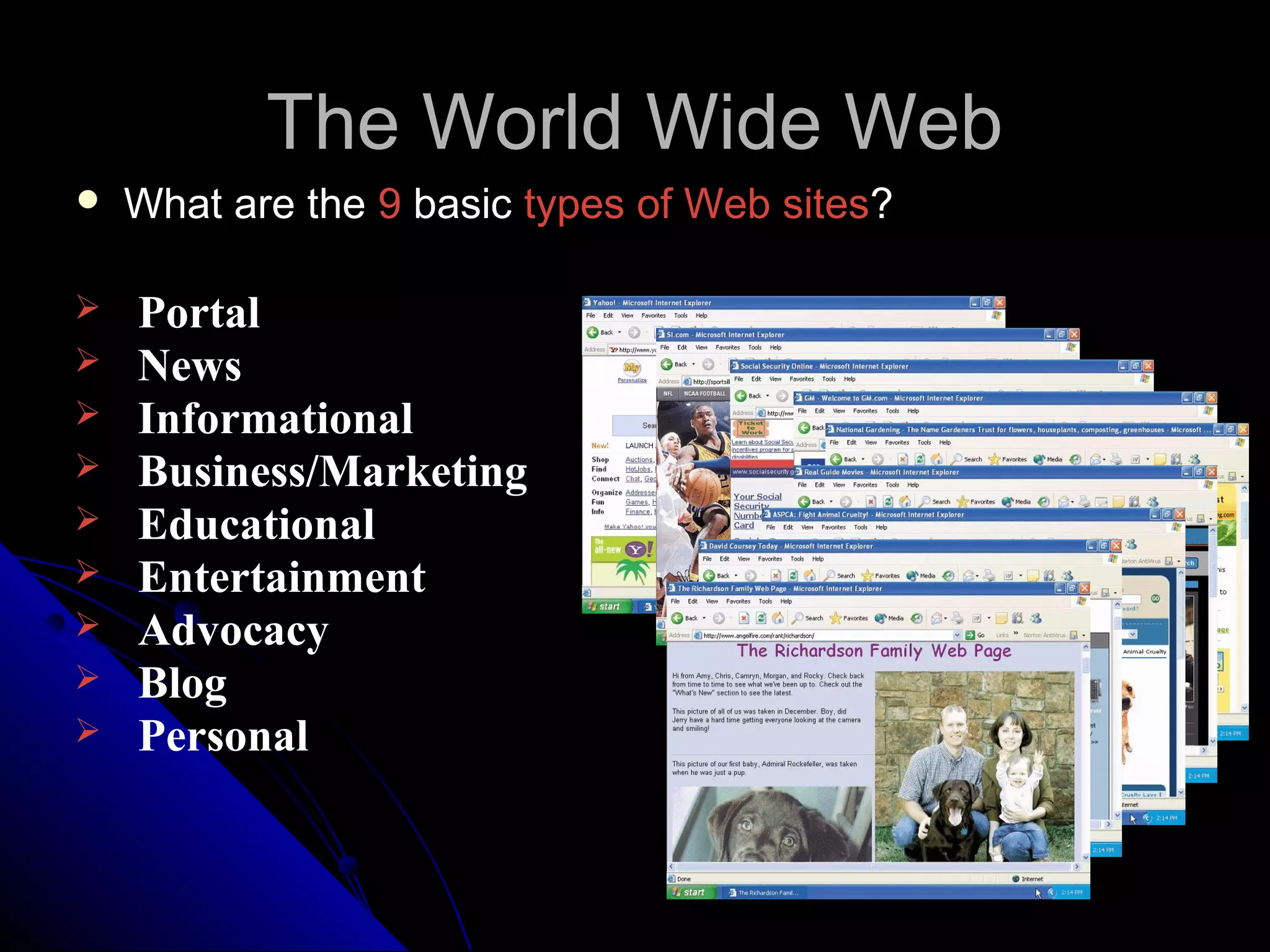 The World Wide Web
   What are the 9 basic types of Web sites?

   Portal
   News
   Informational
   Business/Marketing
   Educational
   Entertainment
   Advocacy
   Blog
   Personal
 