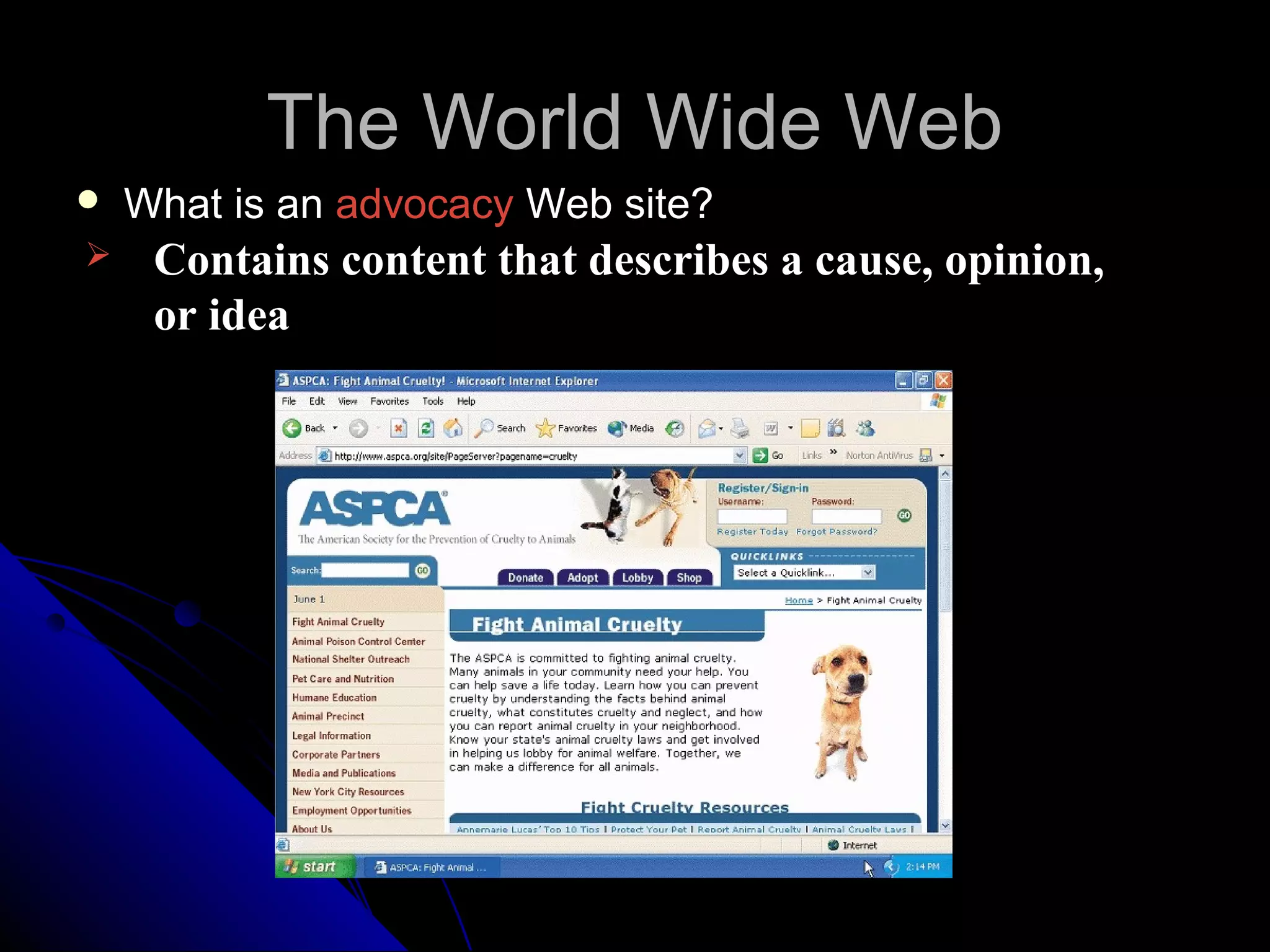 The World Wide Web
   What is an advocacy Web site?
    Contains content that describes a cause, opinion,
     or idea
 