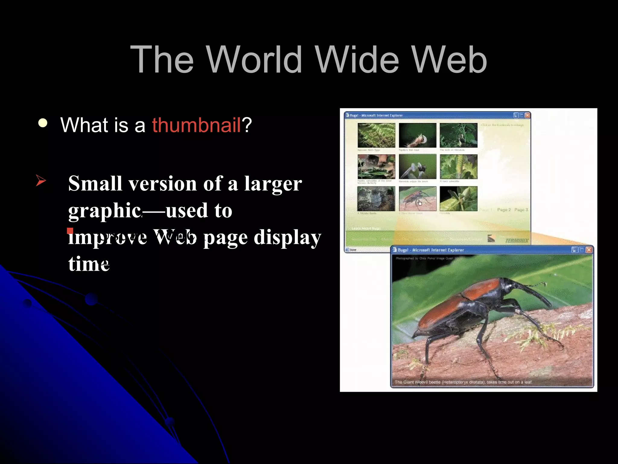 The World Wide Web
   What is a thumbnail?

   Small version of a larger
    graphic —used to
            c




     Usually clickpage display
    improve Web
    time thumbnail to
       on
       display larger
       graphic
 