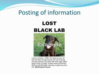 Posting of information
 