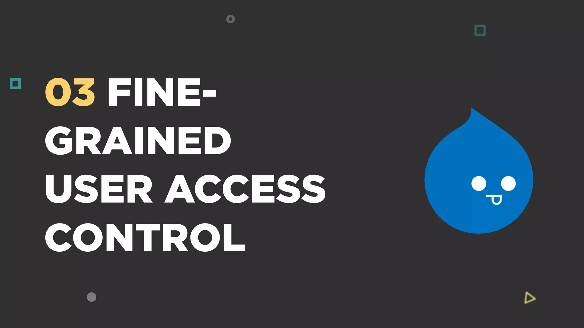 03 FINE-
GRAINED
USER ACCESS
CONTROL
 