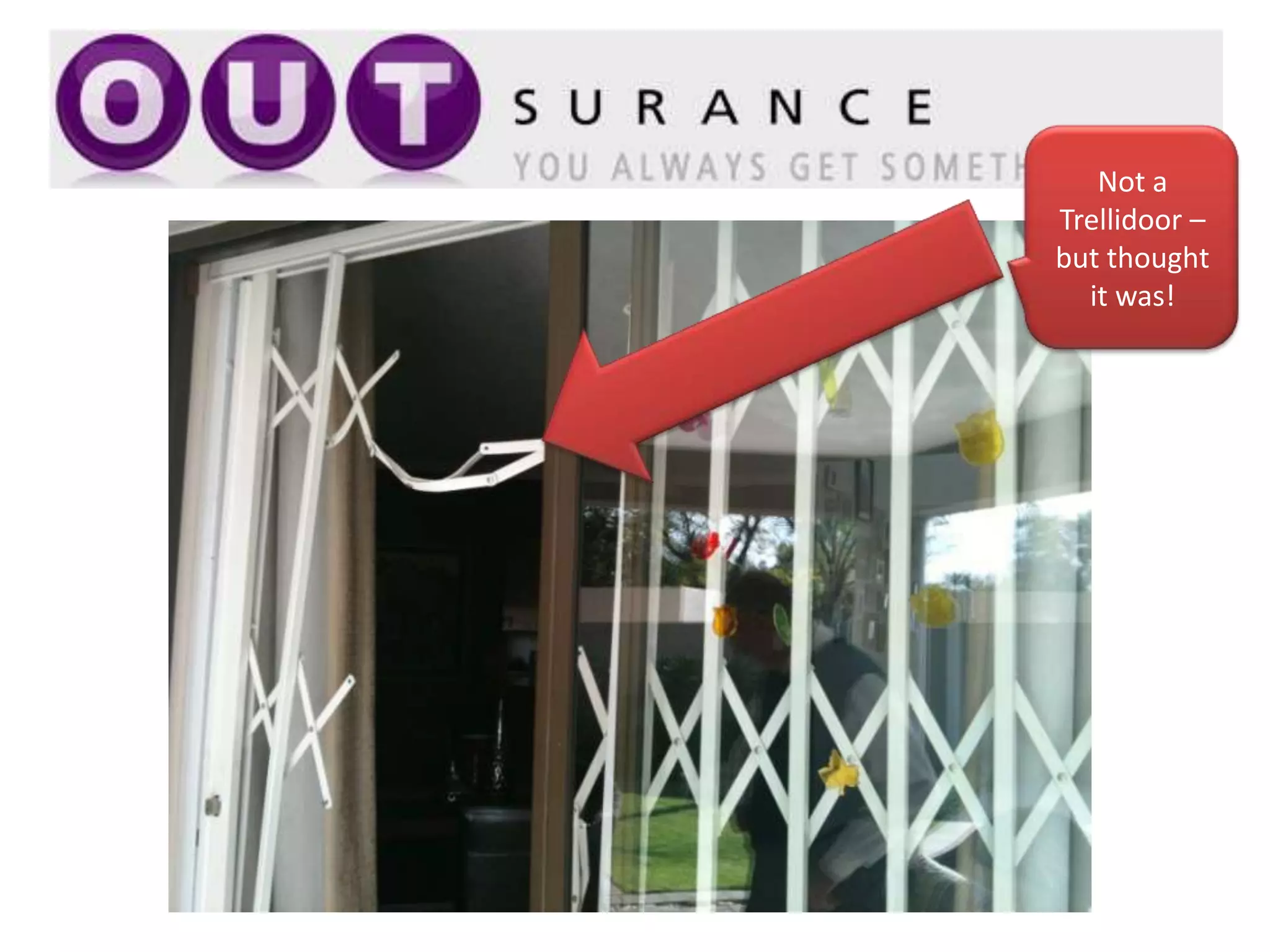 Not a
Trellidoor –
but thought
  it was!
 