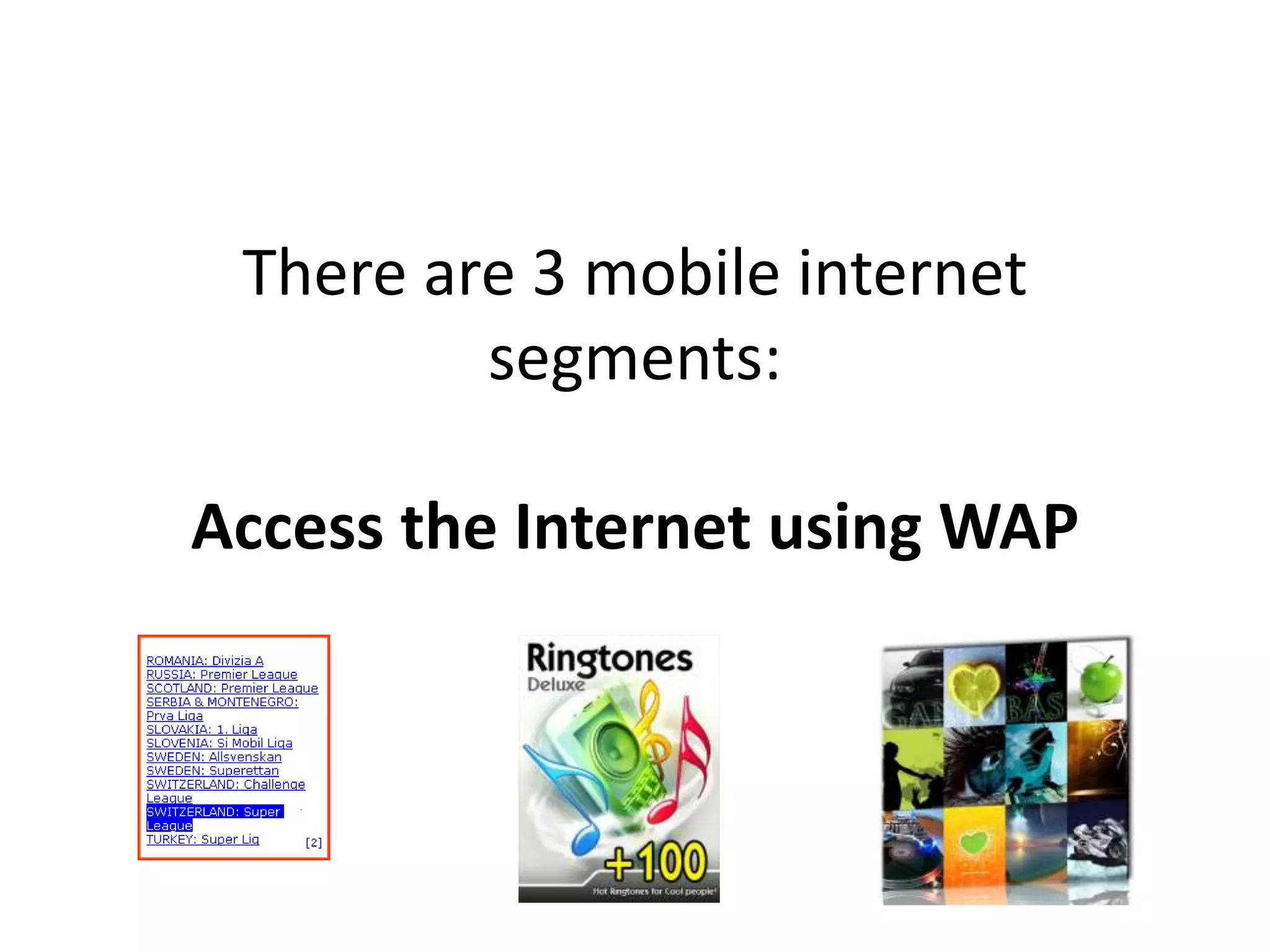 There are 3 mobile internet
         segments:

Access the Internet using WAP
 