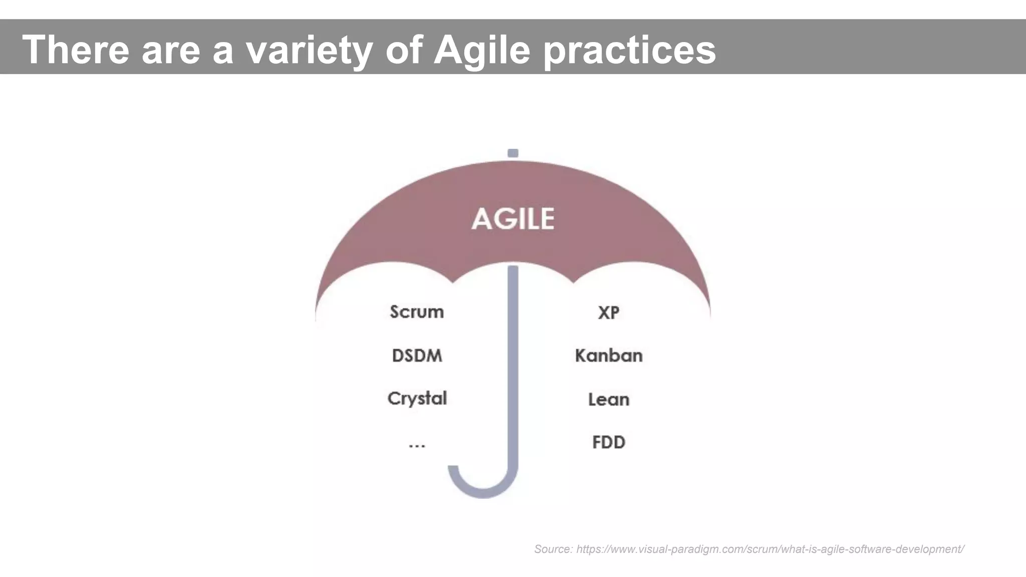 There are a variety of Agile practices
Source: https://www.visual-paradigm.com/scrum/what-is-agile-software-development/
 