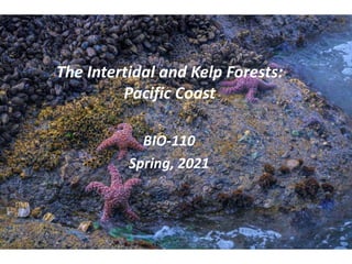 The Intertidal and Kelp Forests:
Pacific Coast
BIO-110
Spring, 2021
 