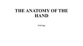 THE ANATOMY OF THE
HAND
Prof Ugo
 