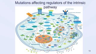 Mutations affecting regulators of the intrinsic
pathway
13
 