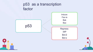 p53 as a transcription
factor
p53
Induce:
Fas re
Bak
Bax
Repress:
IAP
Bcl-2
Bcl-x
9
 