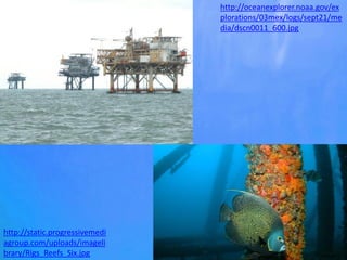 http://oceanexplorer.noaa.gov/ex
plorations/03mex/logs/sept21/me
dia/dscn0011_600.jpg
http://static.progressivemedi
agroup.com/uploads/imageli
brary/Rigs_Reefs_Six.jpg
 