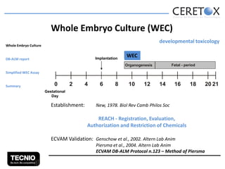 Whole Embryo Culture (WEC)
developmental toxicology

Whole Embryo Culture
DB-ALM report

Implantation

WEC
WEC
Fetal - period

Organogenesis

Simplified WEC Assay
Summary

0

2

4

6

8

10

12

14

16

18

Gestational
Day

Establishment:

New, 1978. Biol Rev Camb Philos Soc

REACH - Registration, Evaluation,
Authorization and Restriction of Chemicals
ECVAM Validation: Genschow et al., 2002. Altern Lab Anim
Piersma et al., 2004. Altern Lab Anim
ECVAM DB-ALM Protocol n.123 – Method of Piersma

20 21

 