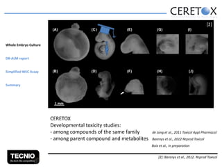 [2]

Whole Embryo Culture
DB-ALM report
Simplified WEC Assay
Summary

1 mm

CERETOX
Developmental toxicity studies:
- among compounds of the same family
- among parent compound and metabolites

de Jong et al., 2011 Toxicol Appl Pharmacol
Barenys et al., 2012 Reprod Toxicol
Boix et al., in preparation
[2]: Barenys et al., 2012. Reprod Toxicol

 