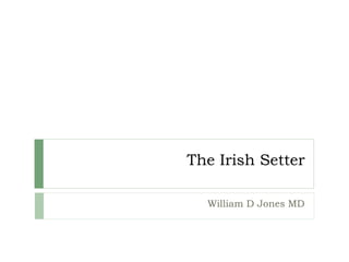 The Irish Setter
William D Jones MD
 