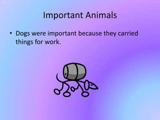Important Animals
• Dogs were important because they carried
  things for work.
 