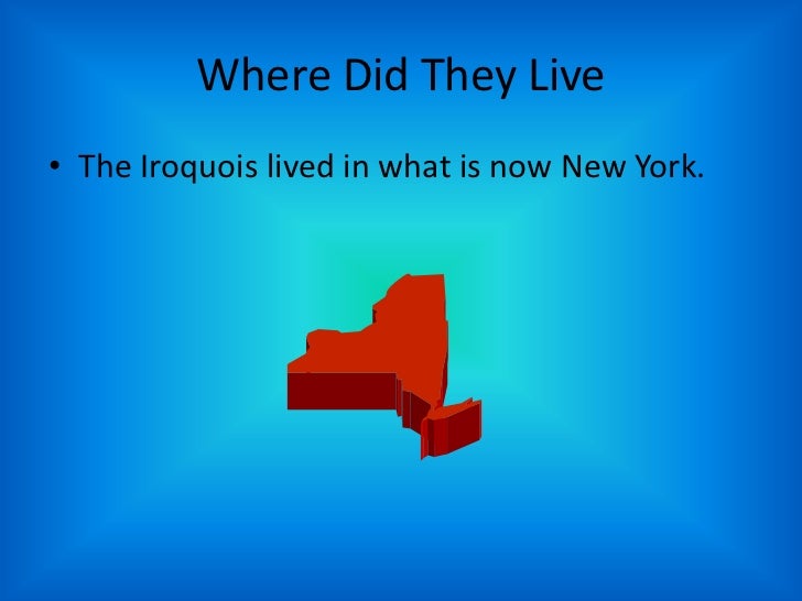 What is the history of the Iroquois tribe?