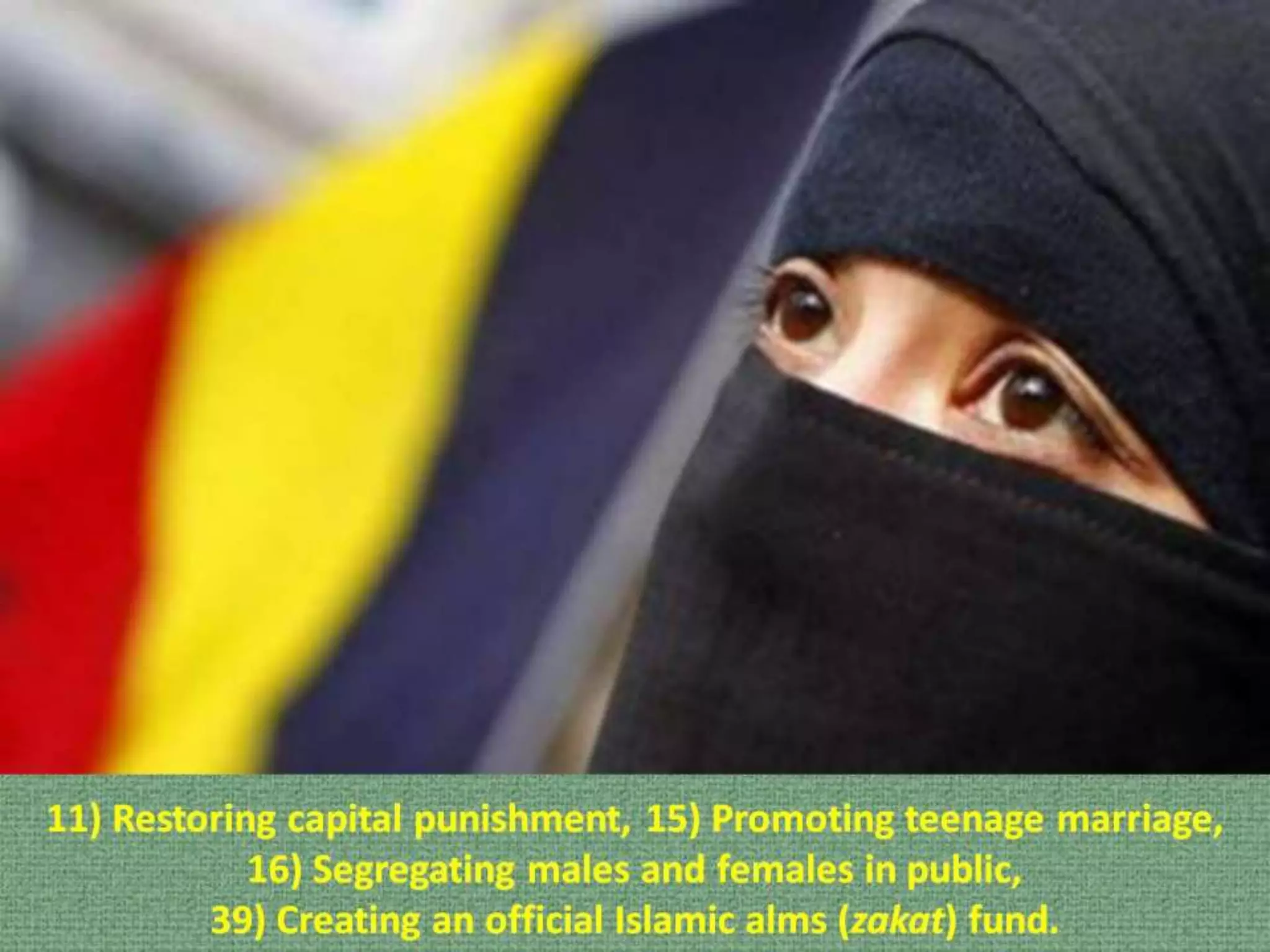 The Islamisation of Europe - What can be Done to Stop and Reverse It | PDF
