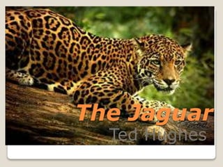 The Jaguar 
Ted Hughes 
 