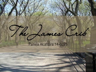 The James Crib
Pamela Alcantara 14-0225
 