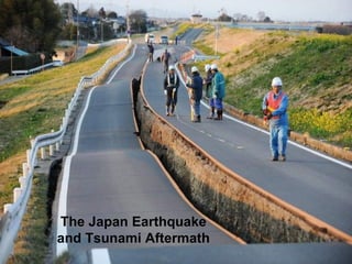 The Japan Earthquake and Tsunami Aftermath 