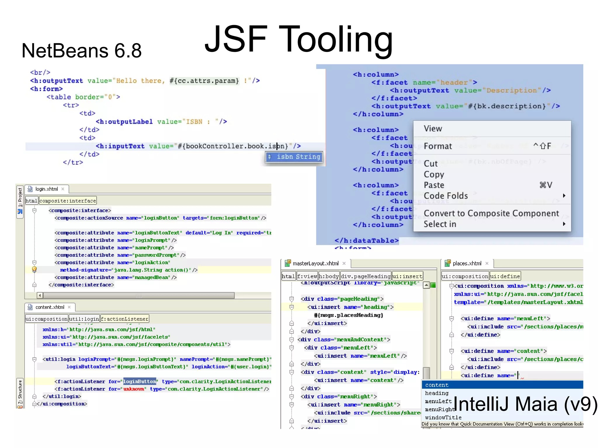 NetBeans 6.8   JSF Tooling




                             IntelliJ Maia (v9)
 