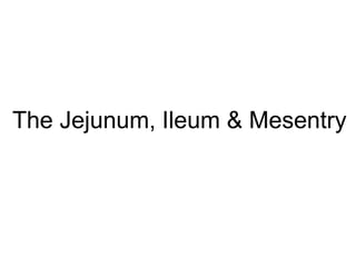 The Jejunum, Ileum & Mesentry
 