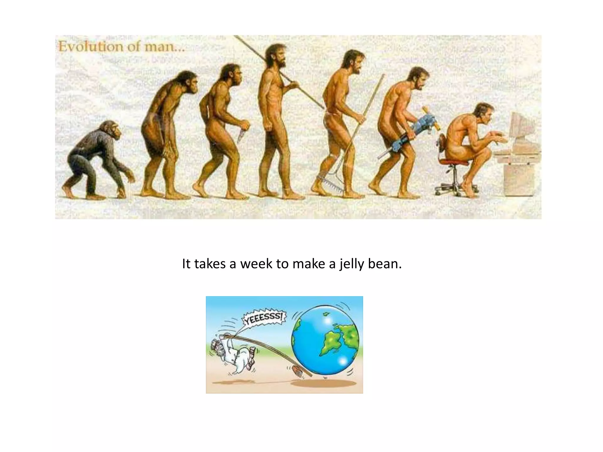 It takes a week to make a jelly bean.
 