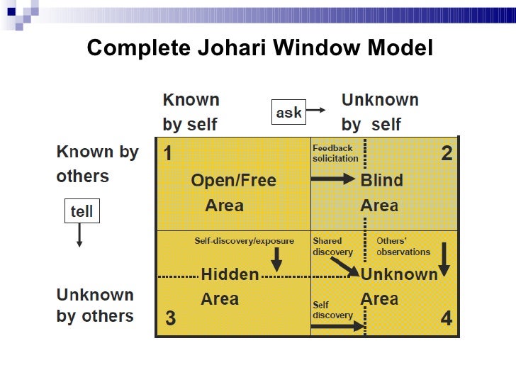 The johari window