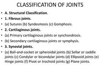 THE JOINTS.pptx