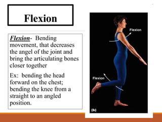 Flection the joints of the skeleton system nl.ppt
