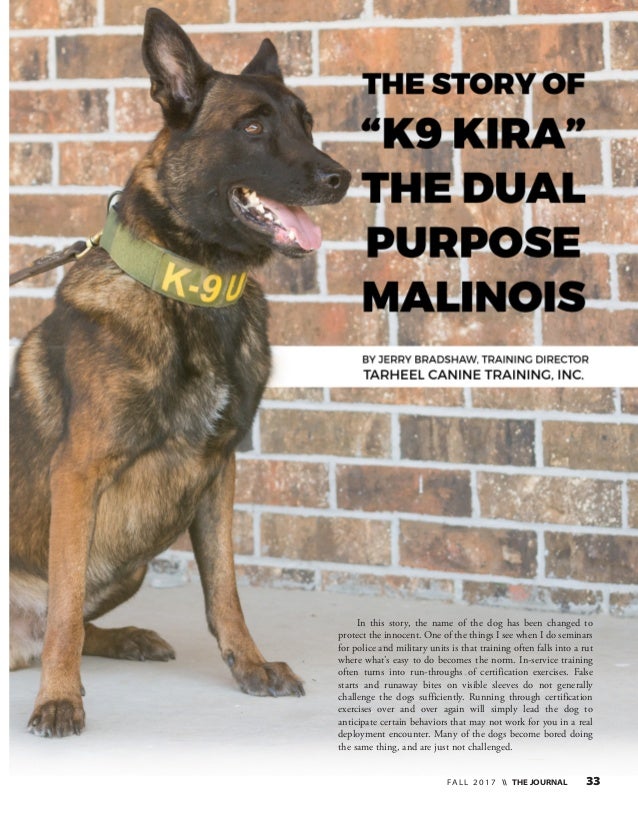 tarheel k9 training