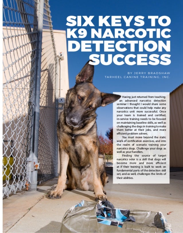 Six Keys To K9 Narcotic Detection Success