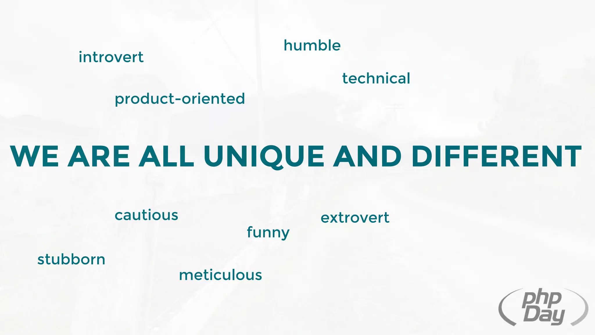 WE ARE ALL UNIQUE AND DIFFERENT
introvert
extrovert
technical
cautious
product-oriented
meticulous
stubborn
humble
funny
 