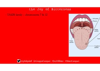 the Joy of Bitterness
@philipduff @GruppoCampari #JoyOfBitter #BitterCampari
- TAS2R family – chromosome 7 & 12
 