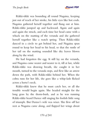 The Jungle Book


   Rikki-tikki was bounding all round Nagaina, keeping
just out of reach of her stroke, his little eyes like hot coals.
Nagaina gathered herself together and flung out at him.
Rikki-tikki jumped up and backward. Again and again
and again she struck, and each time her head came with a
whack on the matting of the veranda and she gathered
herself together like a watch spring. Then Rikki-tikki
danced in a circle to get behind her, and Nagaina spun
round to keep her head to his head, so that the rustle of
her tail on the matting sounded like dry leaves blown
along by the wind.
   He had forgotten the egg. It still lay on the veranda,
and Nagaina came nearer and nearer to it, till at last, while
Rikki-tikki was drawing breath, she caught it in her
mouth, turned to the veranda steps, and flew like an arrow
down the path, with Rikki-tikki behind her. When the
cobra runs for her life, she goes like a whip-lash flicked
across a horse’s neck.
   Rikki-tikki knew that he must catch her, or all the
trouble would begin again. She headed straight for the
long grass by the thorn-bush, and as he was running
Rikki-tikki heard Darzee still singing his foolish little song
of triumph. But Darzee’s wife was wiser. She flew off her
nest as Nagaina came along, and flapped her wings about


                          170 of 241
 