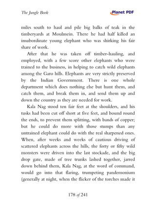 The Jungle Book


miles south to haul and pile big balks of teak in the
timberyards at Moulmein. There he had half killed an
insubordinate young elephant who was shirking his fair
share of work.
    After that he was taken off timber-hauling, and
employed, with a few score other elephants who were
trained to the business, in helping to catch wild elephants
among the Garo hills. Elephants are very strictly preserved
by the Indian Government. There is one whole
department which does nothing else but hunt them, and
catch them, and break them in, and send them up and
down the country as they are needed for work.
    Kala Nag stood ten fair feet at the shoulders, and his
tusks had been cut off short at five feet, and bound round
the ends, to prevent them splitting, with bands of copper;
but he could do more with those stumps than any
untrained elephant could do with the real sharpened ones.
When, after weeks and weeks of cautious driving of
scattered elephants across the hills, the forty or fifty wild
monsters were driven into the last stockade, and the big
drop gate, made of tree trunks lashed together, jarred
down behind them, Kala Nag, at the word of command,
would go into that flaring, trumpeting pandemonium
(generally at night, when the flicker of the torches made it


                         178 of 241
 