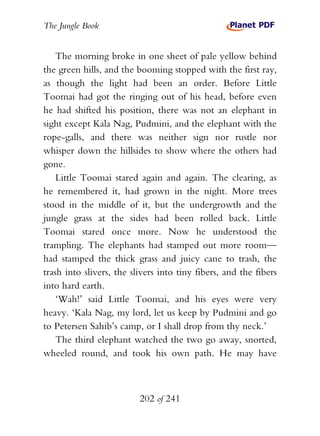 The Jungle Book


    The morning broke in one sheet of pale yellow behind
the green hills, and the booming stopped with the first ray,
as though the light had been an order. Before Little
Toomai had got the ringing out of his head, before even
he had shifted his position, there was not an elephant in
sight except Kala Nag, Pudmini, and the elephant with the
rope-galls, and there was neither sign nor rustle nor
whisper down the hillsides to show where the others had
gone.
    Little Toomai stared again and again. The clearing, as
he remembered it, had grown in the night. More trees
stood in the middle of it, but the undergrowth and the
jungle grass at the sides had been rolled back. Little
Toomai stared once more. Now he understood the
trampling. The elephants had stamped out more room—
had stamped the thick grass and juicy cane to trash, the
trash into slivers, the slivers into tiny fibers, and the fibers
into hard earth.
    ‘Wah!’ said Little Toomai, and his eyes were very
heavy. ‘Kala Nag, my lord, let us keep by Pudmini and go
to Petersen Sahib’s camp, or I shall drop from thy neck.’
    The third elephant watched the two go away, snorted,
wheeled round, and took his own path. He may have



                          202 of 241
 