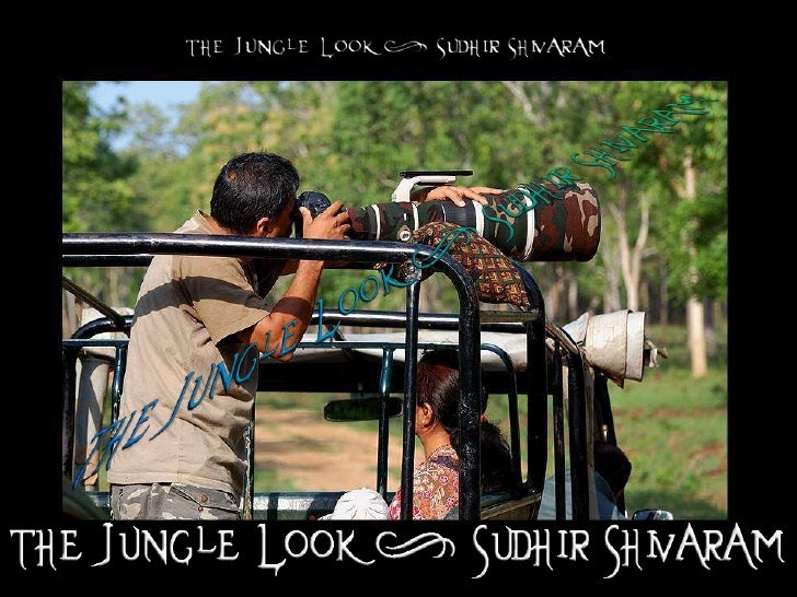 the jungle look sudhir shivaram trinity 2010
